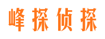 双桥市私家侦探